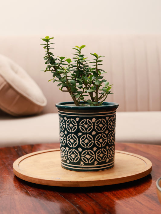 Embossed Planter - Dark Green