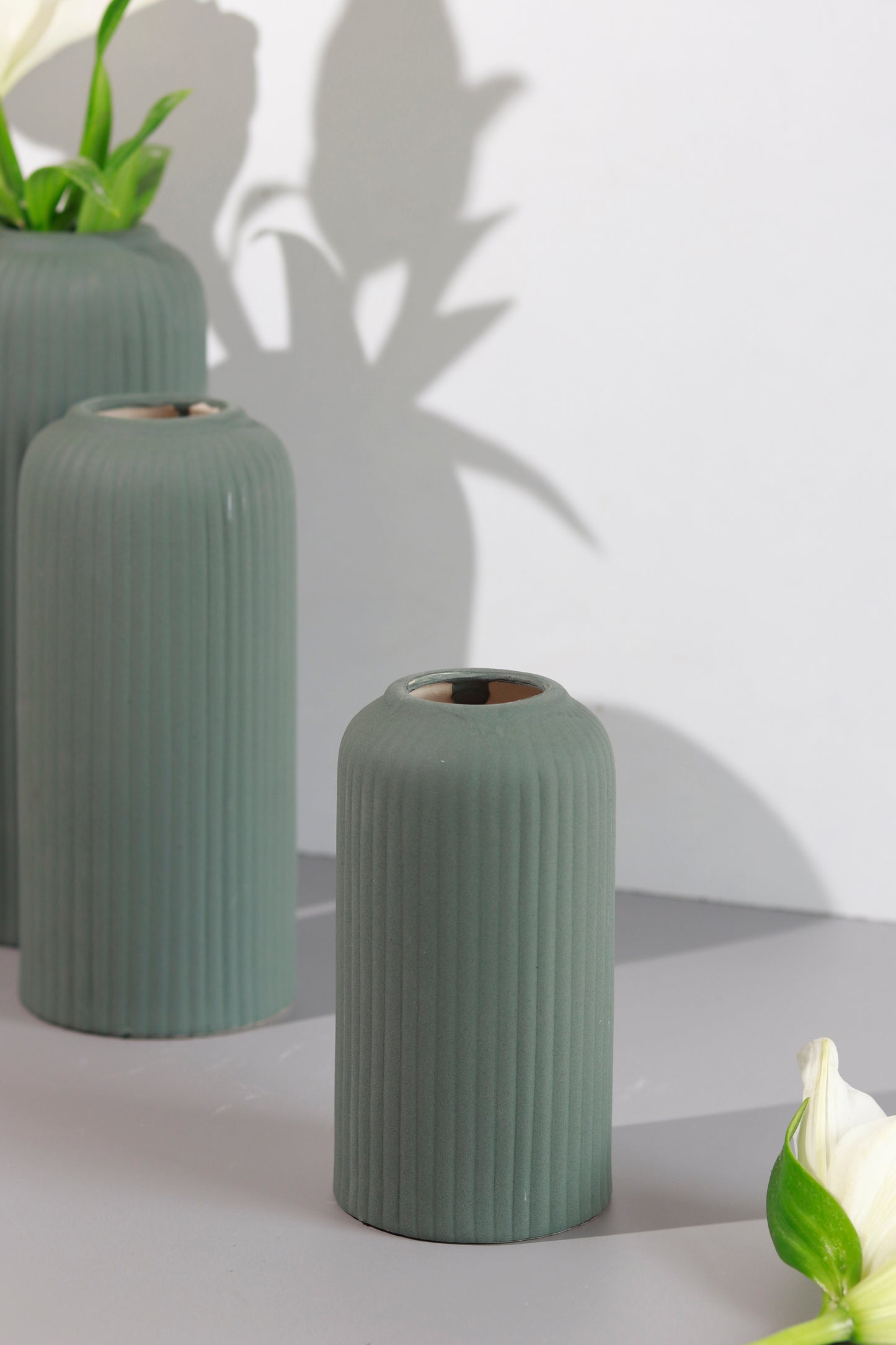 Ribbed Vases Combo of 5 (Assorted)