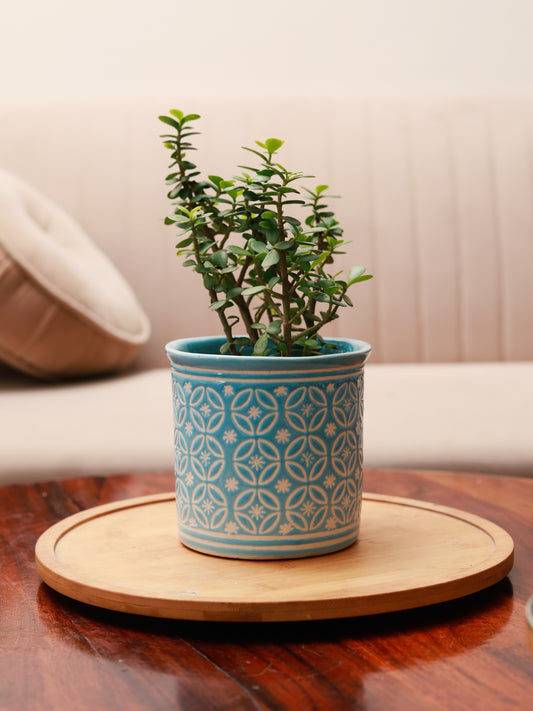 Embossed Planter - Sky Blue