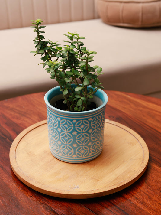 Embossed Planter - Sky Blue