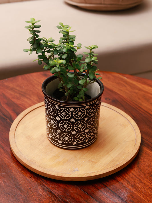 Embossed Planter - Black