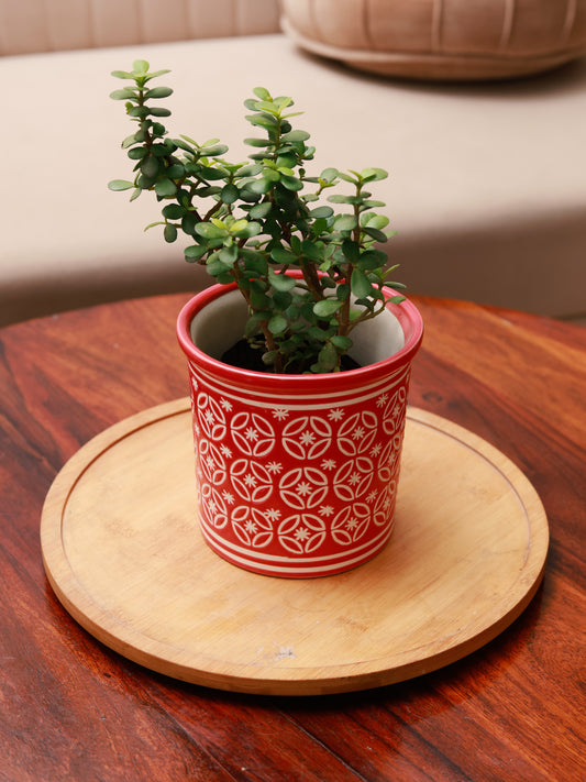 Embossed Planter - Red