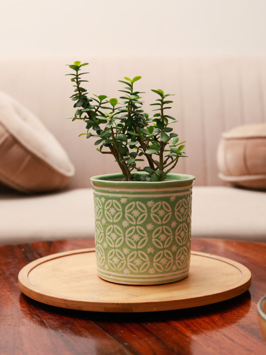 Embossed Planter - Green