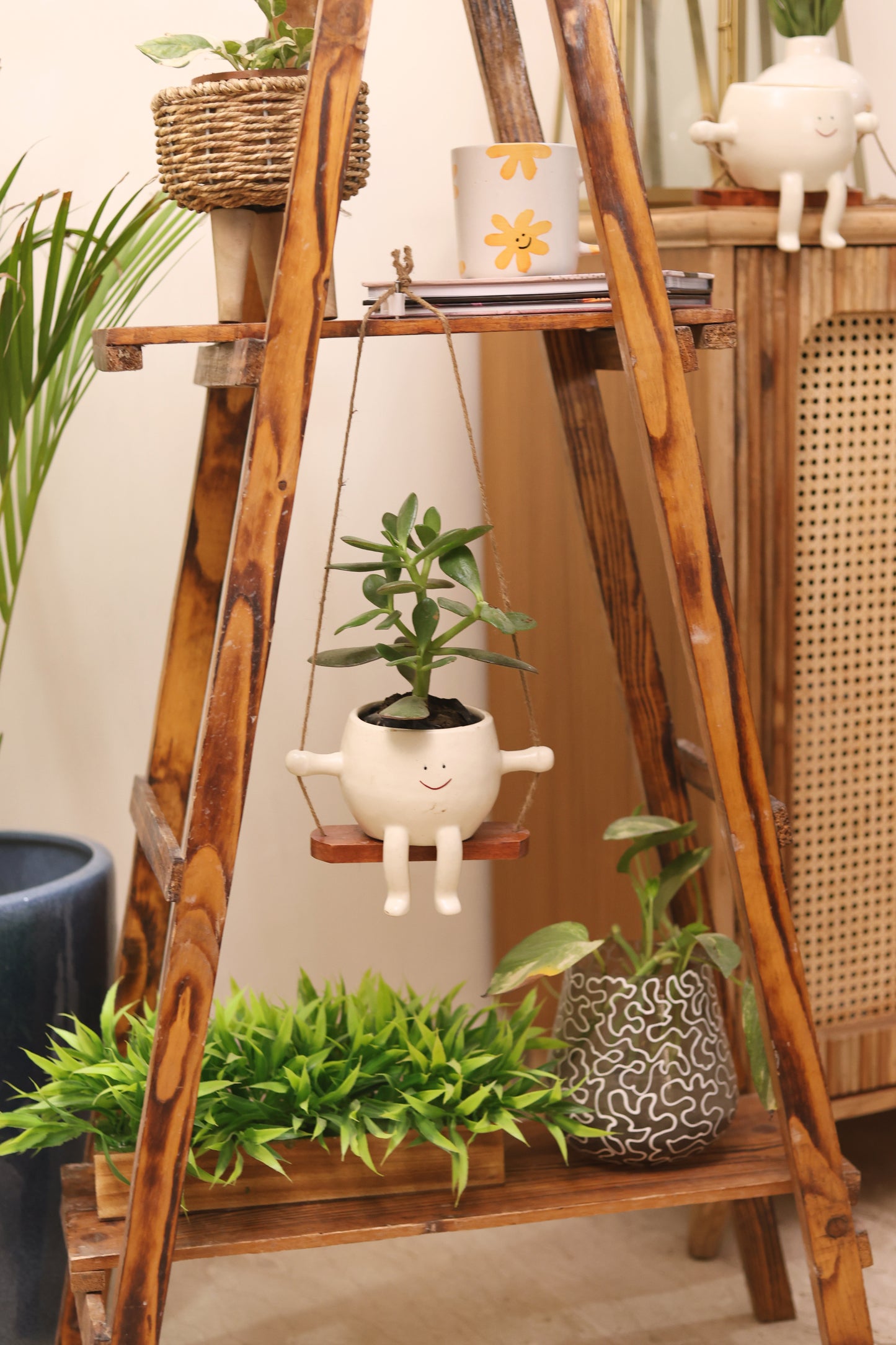 Cute Face Swing Planter