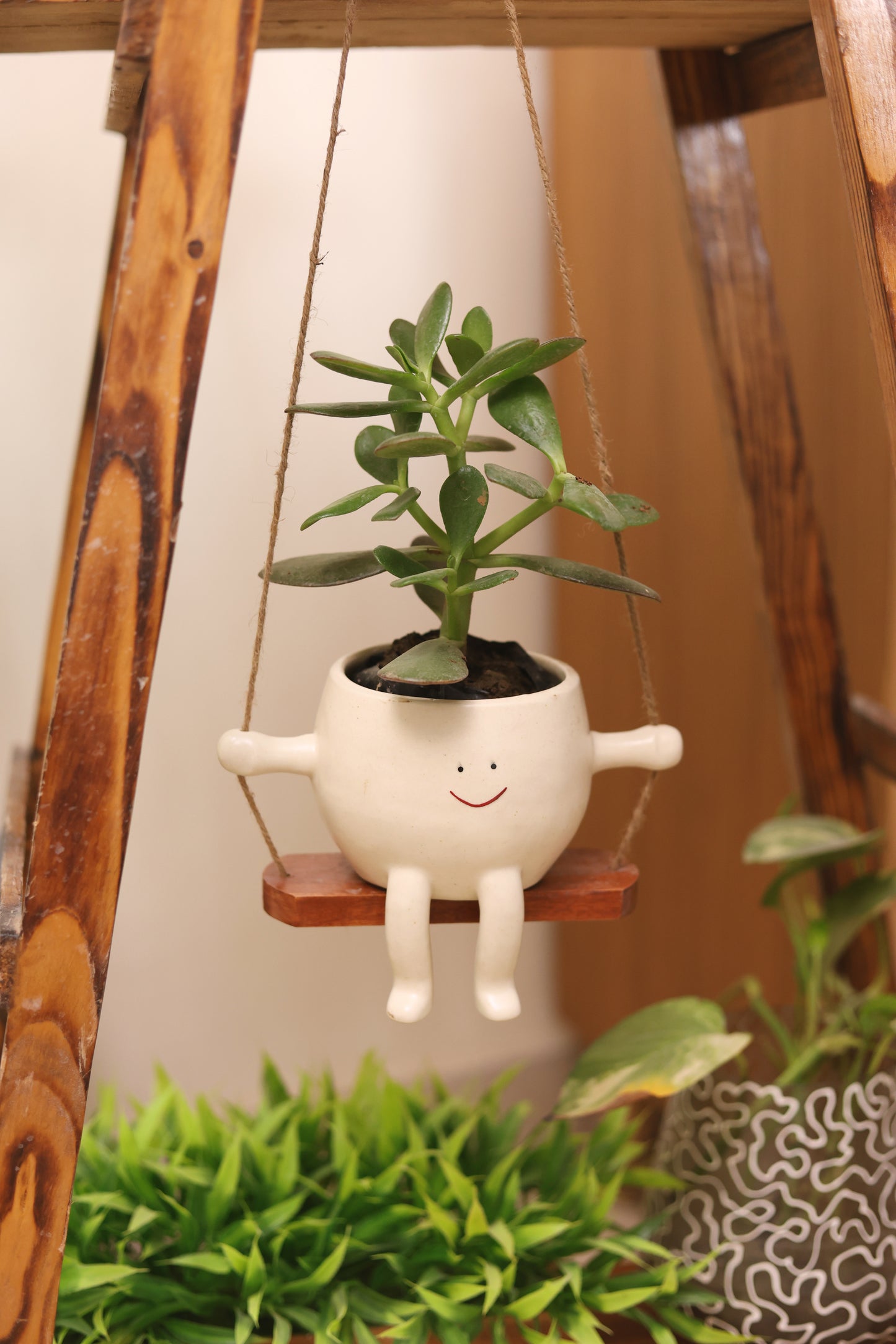 Cute Face Swing Planter