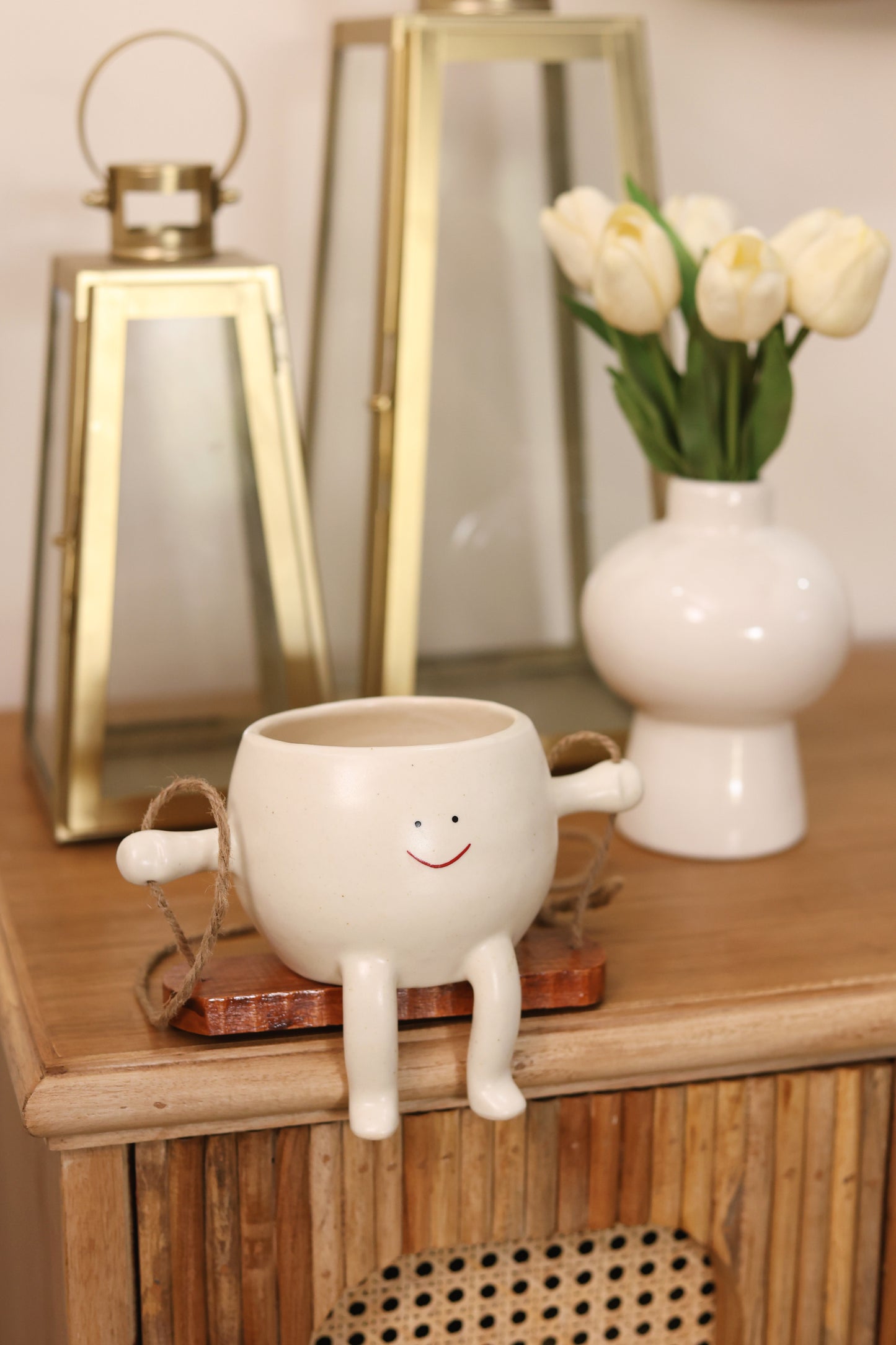 Cute Face Swing Planter