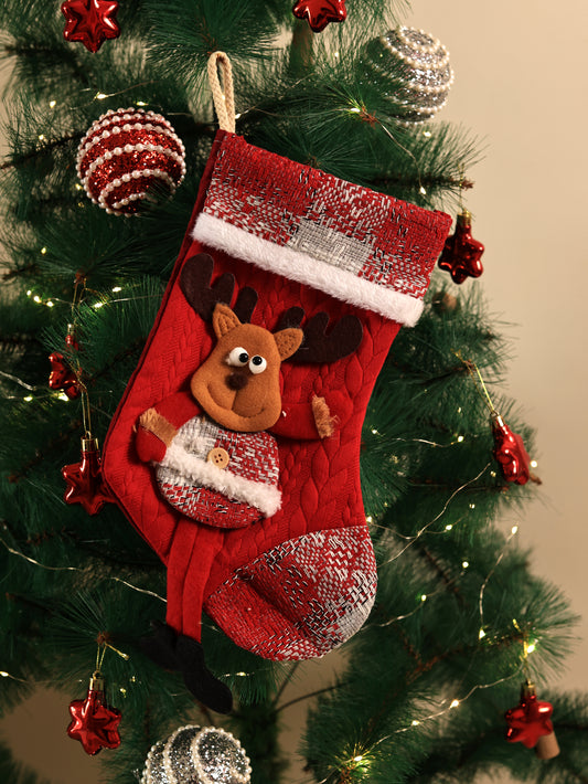 Winter Red Santa Sock