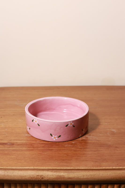 Graden Glow Breakfast Bowl- Pink