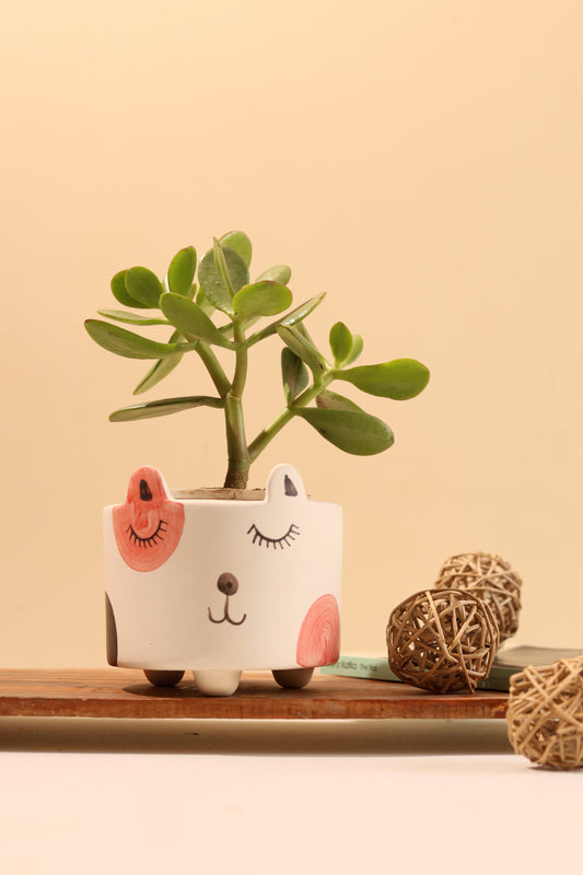 White Cat Planter