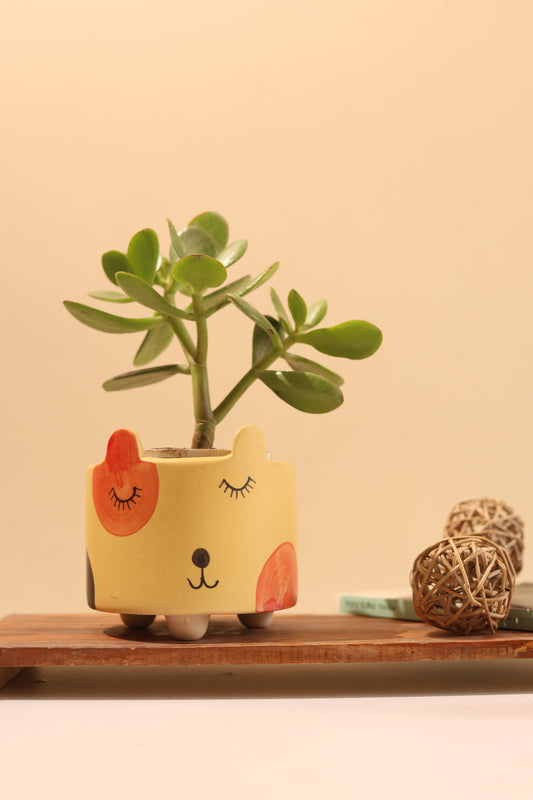 Yellow Cat Planter