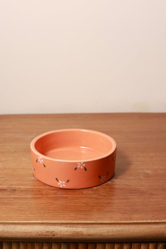 Graden Glow Breakfast Bowl- Orange