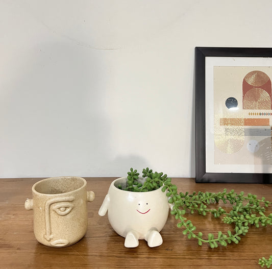 Set of 2 Cute Planters