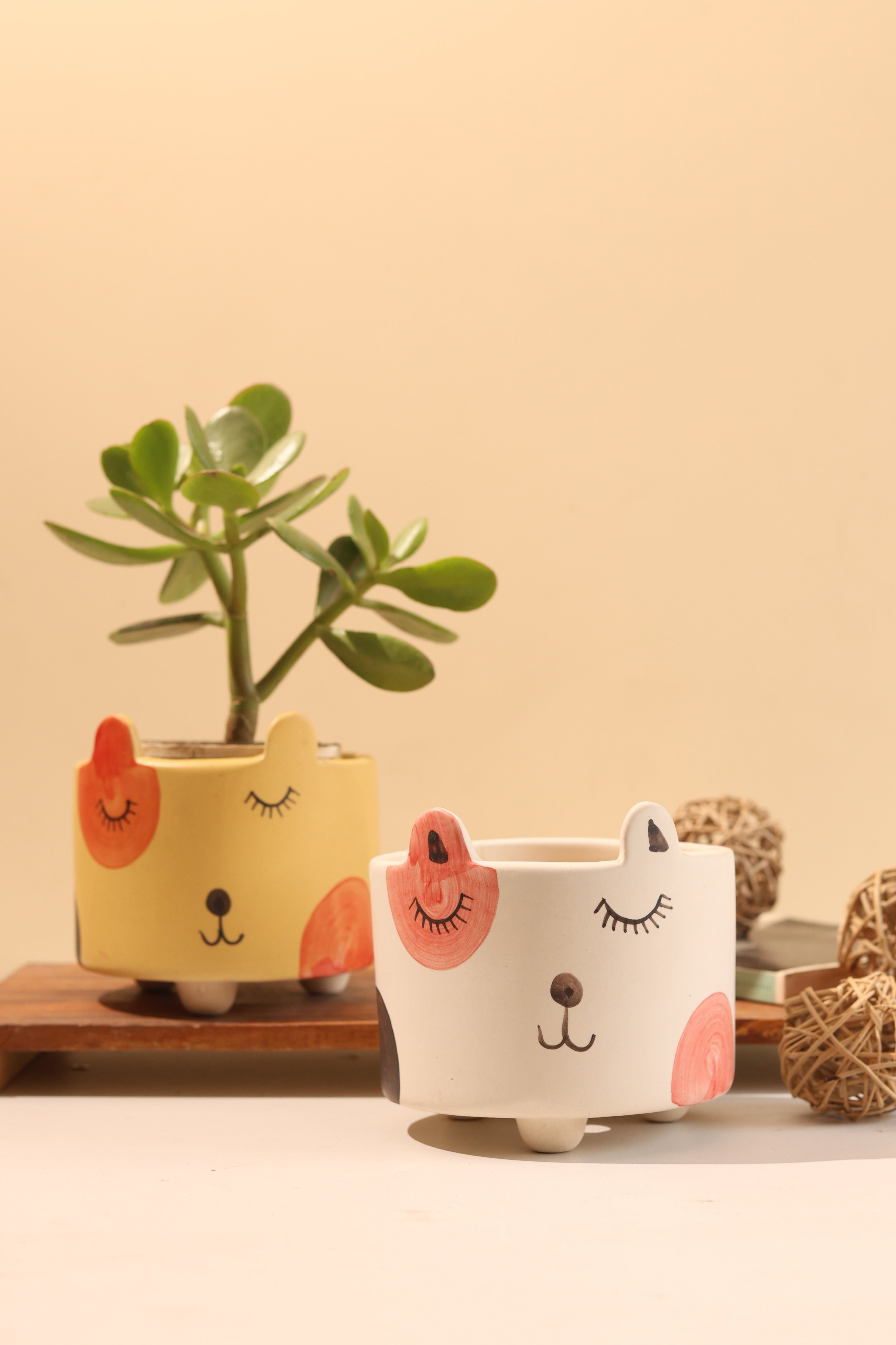 cat pots for plants Cat Planter Combo (Pack of 2) – Craftribal