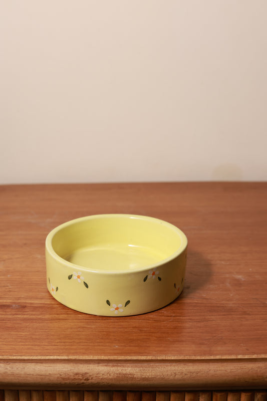 Graden Glow Breakfast Bowl- Yellow
