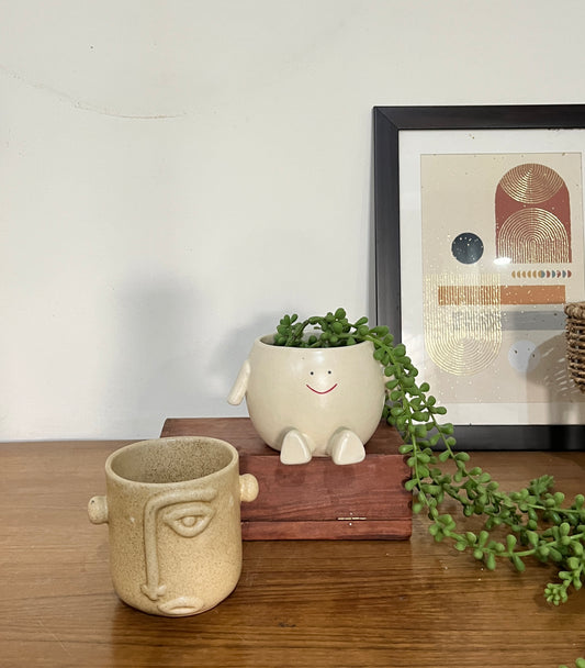 Set of 2 Cute Planters