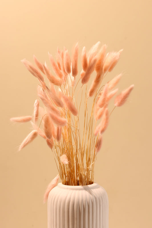 Peachy Blush Bunny Tail Bunch (Pack of 30)