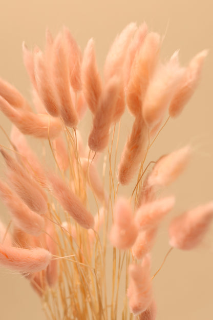 Peachy Blush Bunny Tail Bunch (Pack of 30)