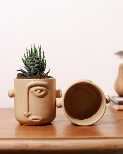 Beige Aesthetic Face Planter