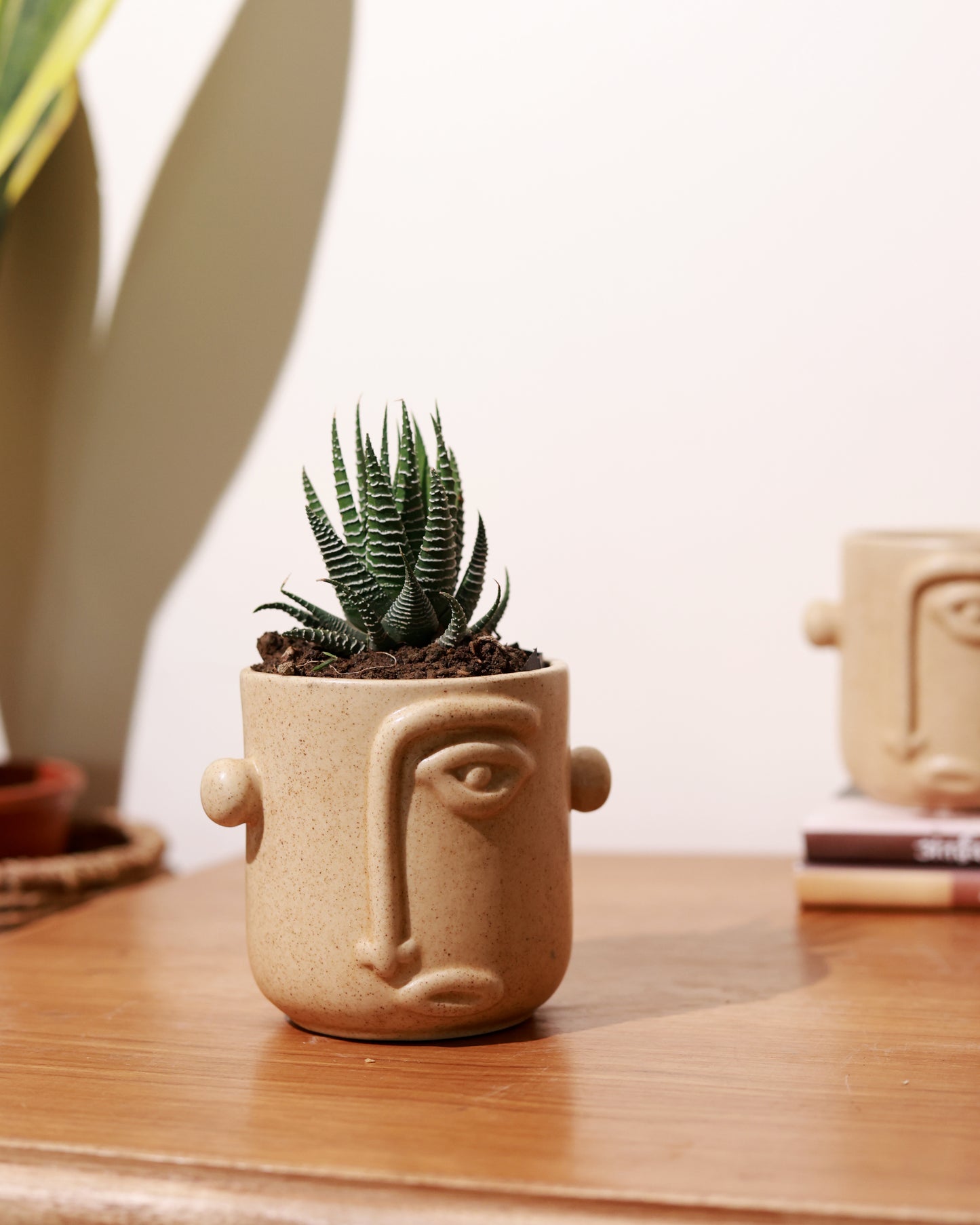 Beige Aesthetic Face Planter