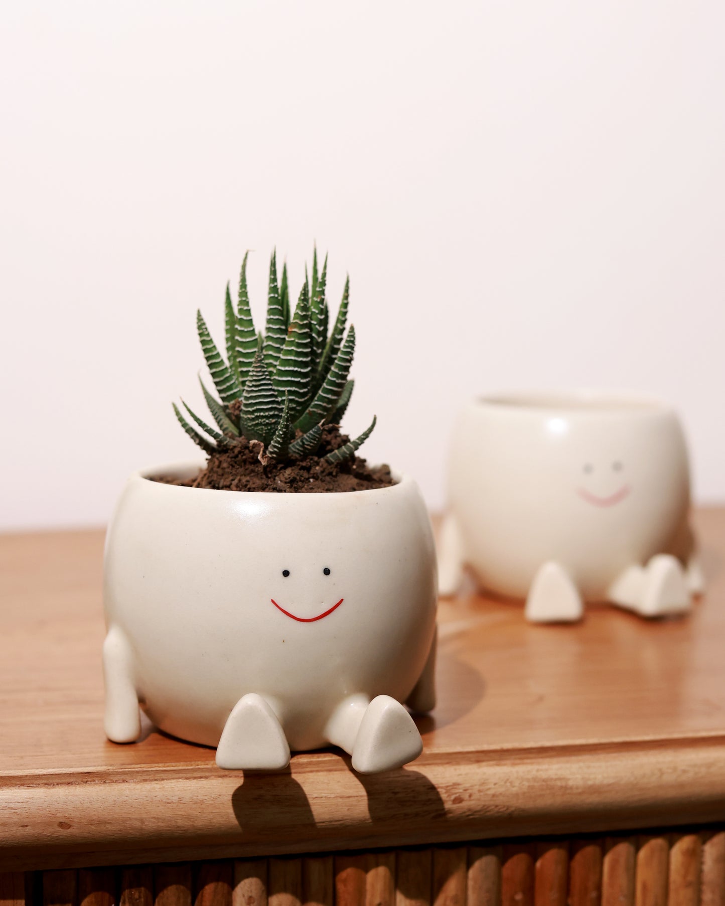 Cute Face Sitting Planter