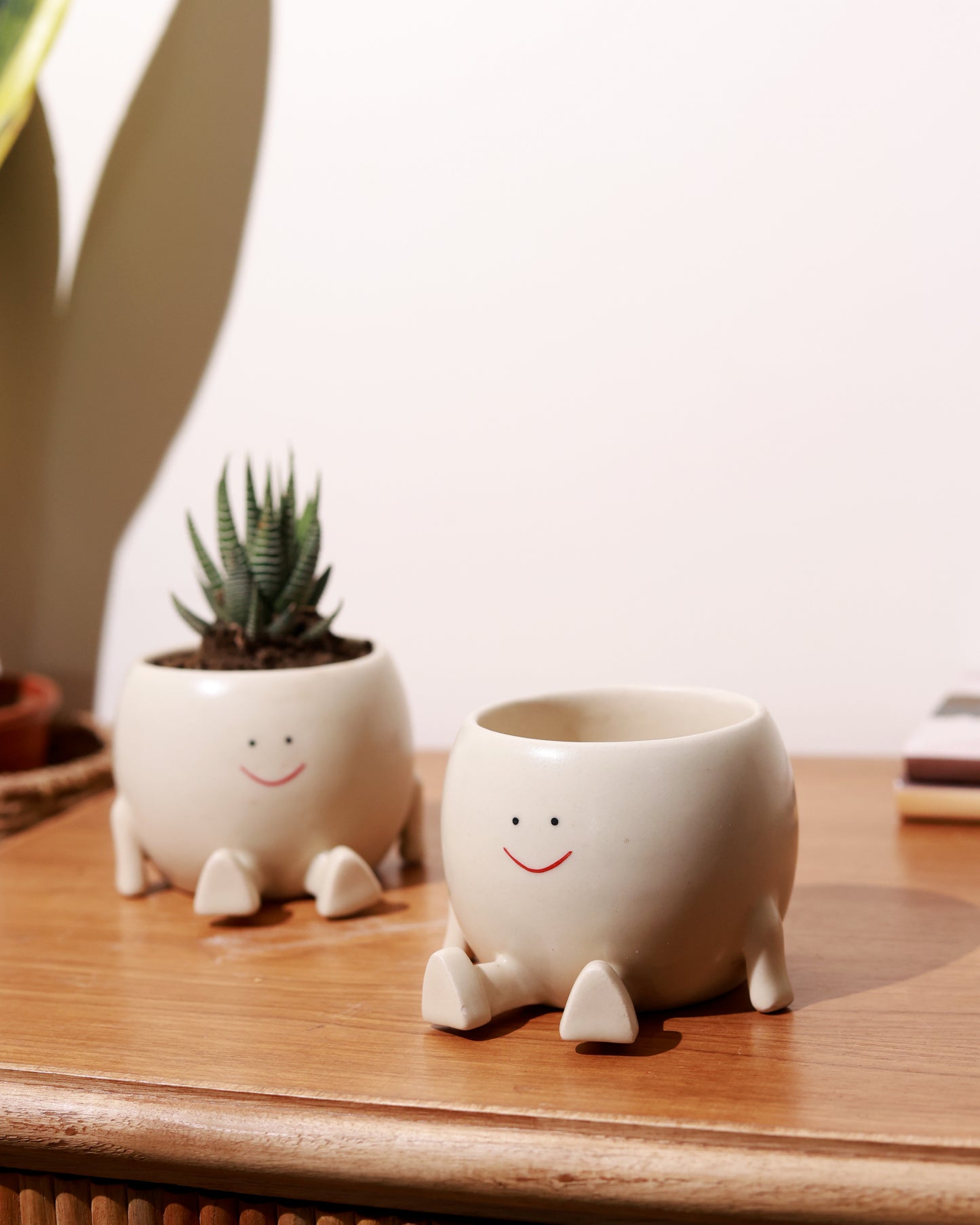 Cute Face Sitting Planter