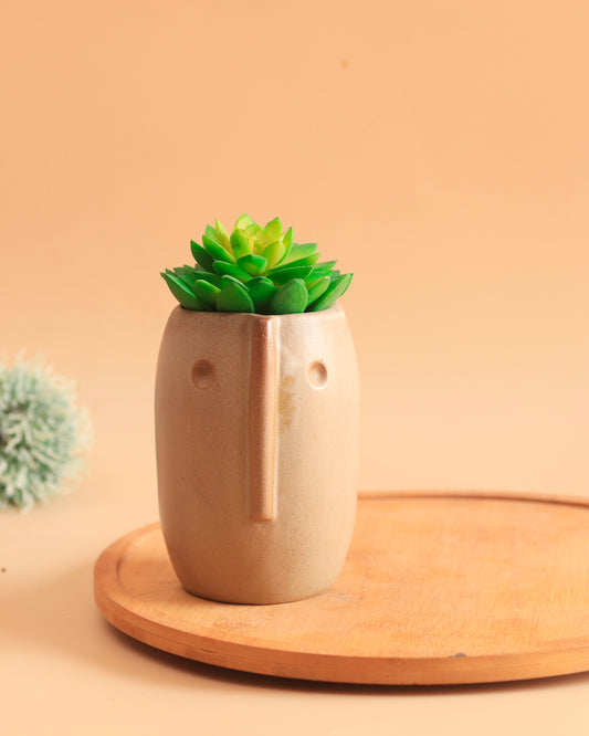 Quirky Face Planter (Ivory)