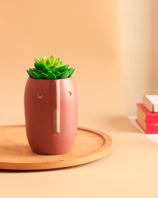 Quirky Face Planter (Cherry)