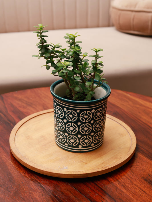 Embossed Planter - Dark Green