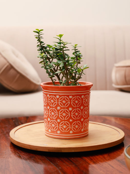 Embossed Planter -Orange