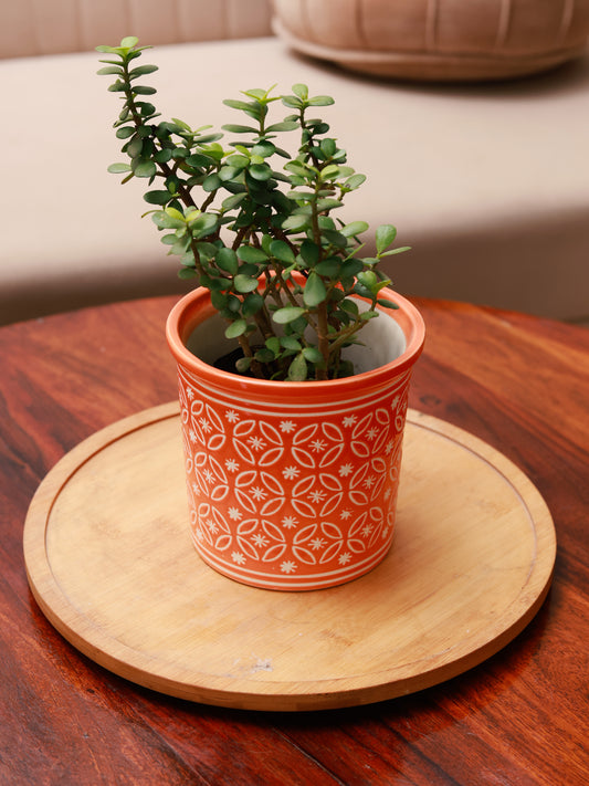 Embossed Planter -Orange