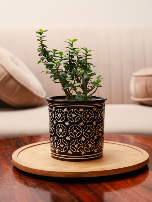 Embossed Planter - Black