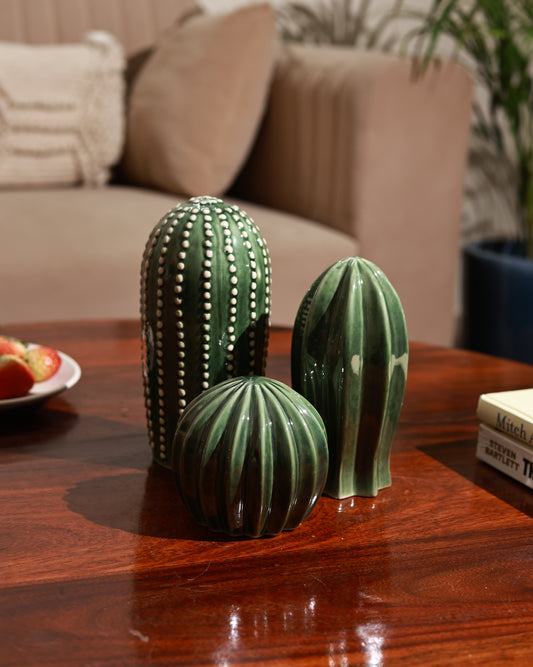 Cactus Decor Set of 3