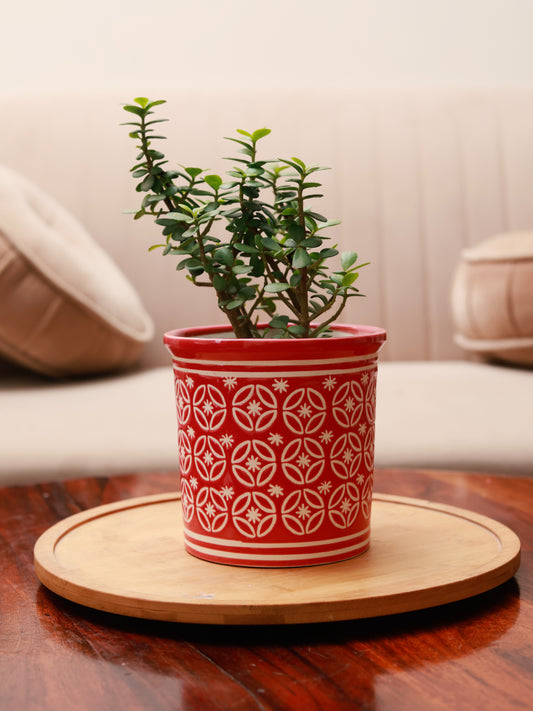 Embossed Planter - Red