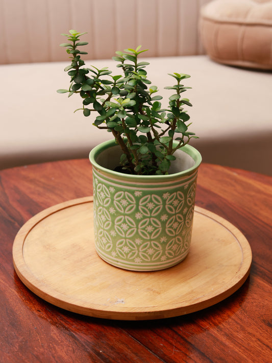 Embossed Planter - Green