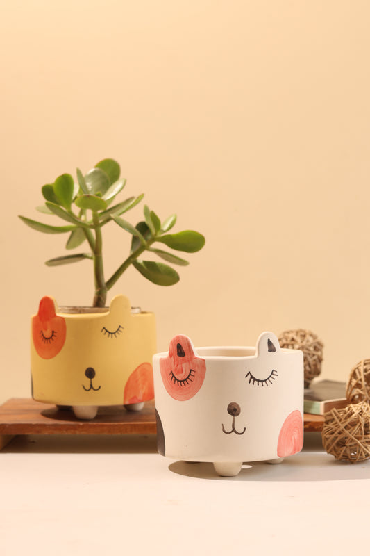 Cat Planter Combo (Pack of 2)