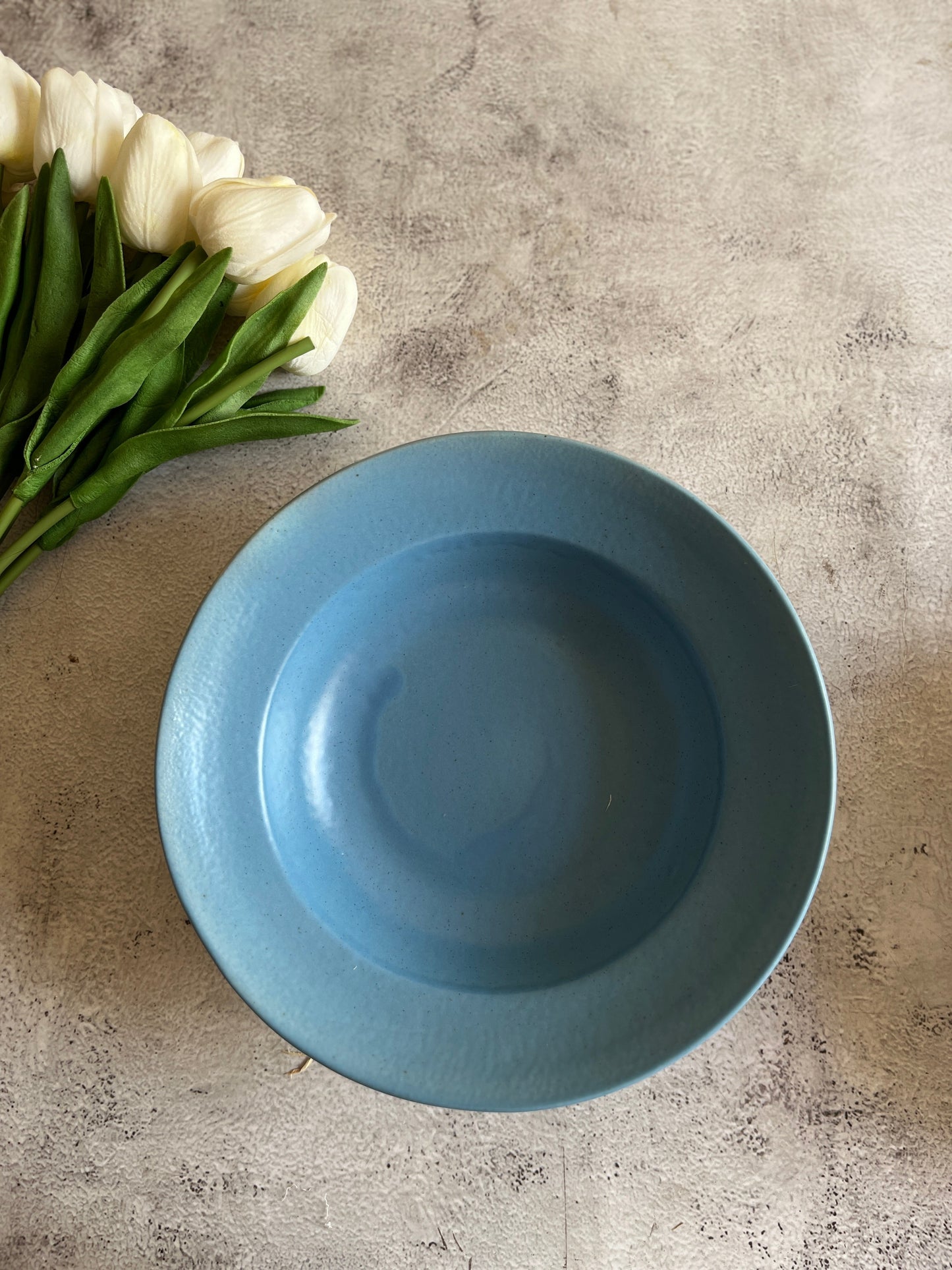 Blue Solid Pasta Plate