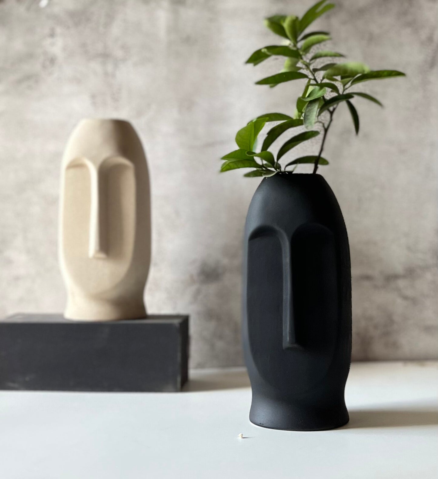 Abstract Face Vase(Combo pack)
