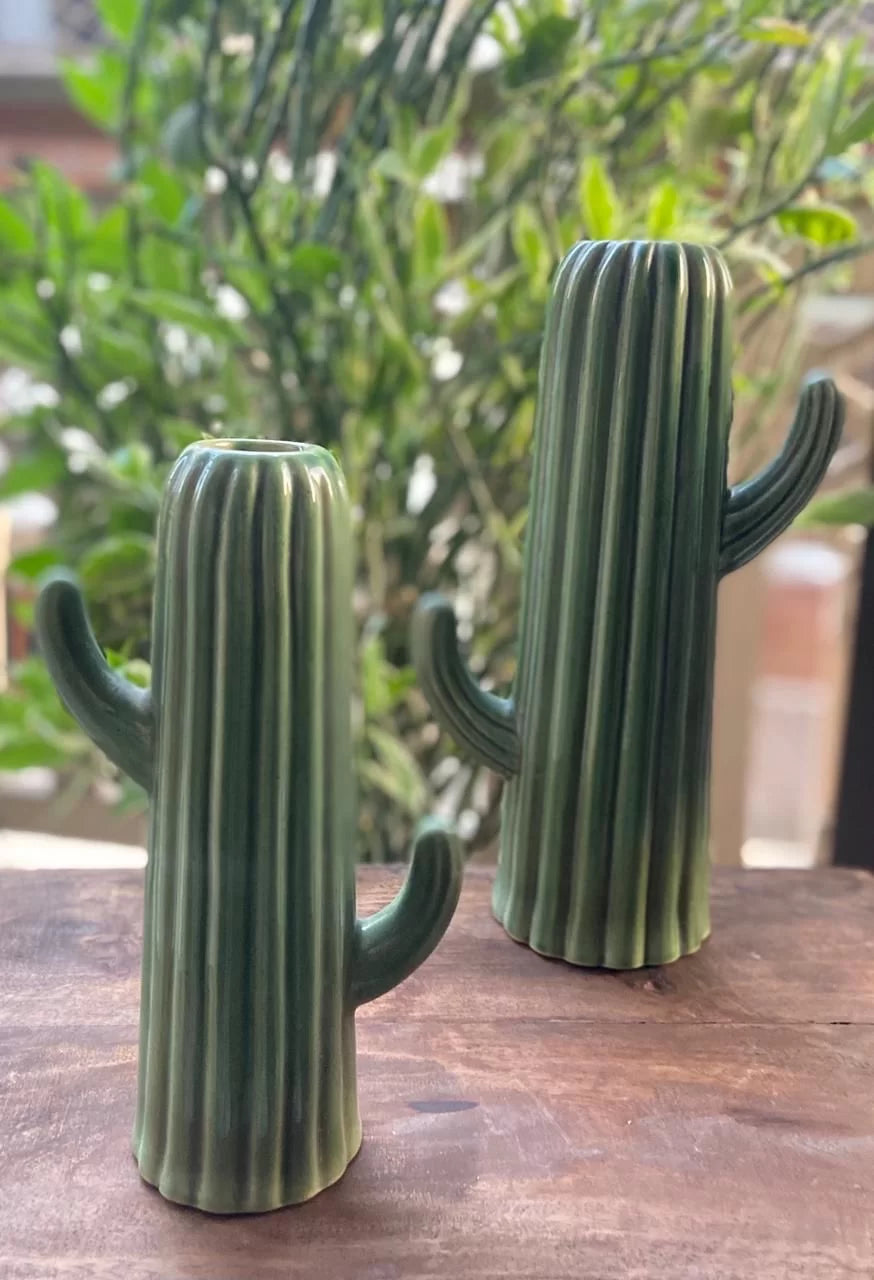 Cactus vase