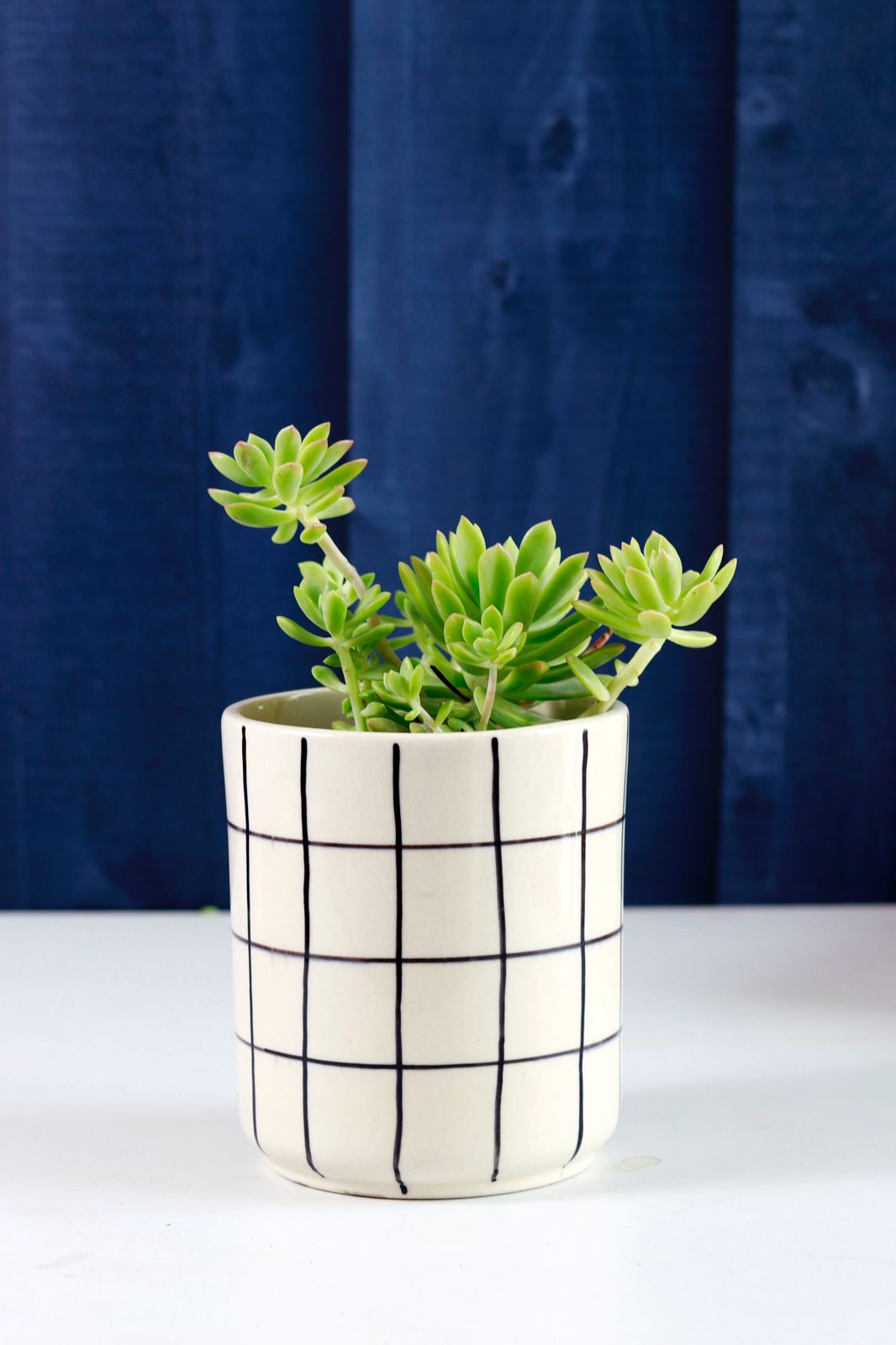 Hand Painted Check Planter – Craftribal